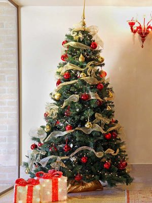 Hình ảnh cây thông noel